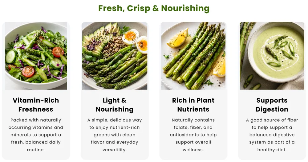 Four Seasons Asparagus Mary Washington Seeds